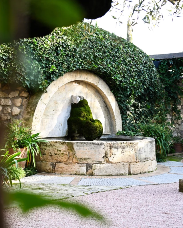 Sur la terrasse endormie, la fontaine veille, patiente.

Bientôt, le printemps soufflera son retour.
•
On the sleepy terrace, the fountain watches patiently.

Soon, spring will blow its return.

#latabledestoublon #estoublon #restaurant #terrasse #printemps #alpilles #bauxdeprovence #provence